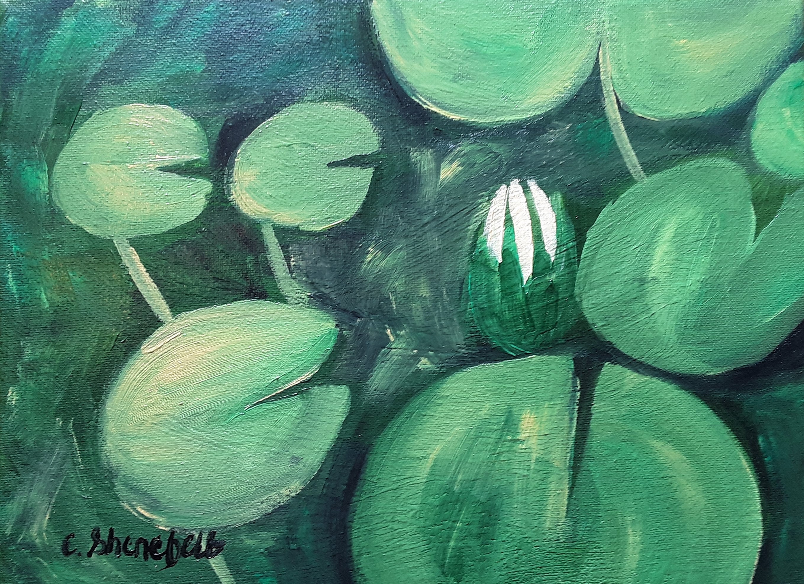Lily Pad Painting Water Lily Painting Floral Painting Free Shipping US