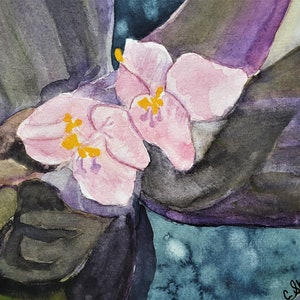 Wandering Jew flower Flower painting Affordable painting Free shipping US