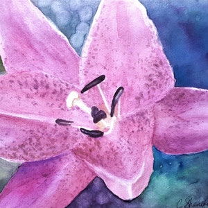 Daylily flower painting Floral painting Affordable art Free shipping US