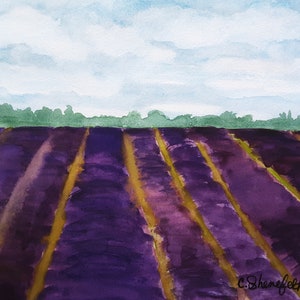 Landscape painting Lavender field painting Flower field painting Affordable art Original painting Free shipping US