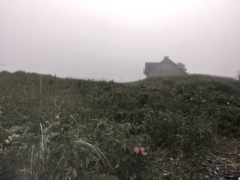 Fog and Flower image 1