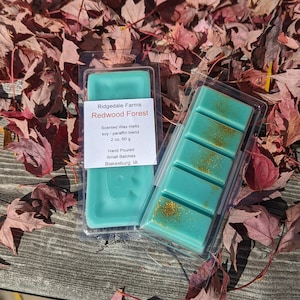 Redwood Forest scented wax melt, snap bar, woodsy, cedar scented, small  batches