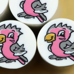 Bird polymer cane.  Australian Galah polymer clay cane.  Pink bird polymer cane.