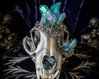 Bobcat Skull * Crystallized Skull * Taxidermy * Crystal Animal Skull * Animal Bones * Real Animal Skull * Animal Skull *Animal Skull Decor *