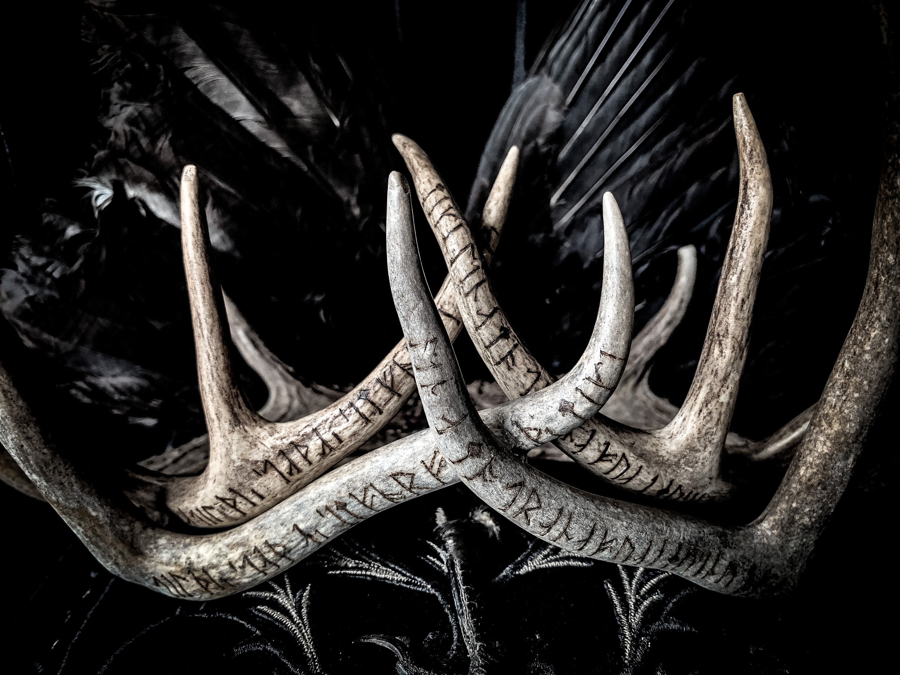 Deer Antler Antler Crown Wedding Crown Crown Viking Etsy UK