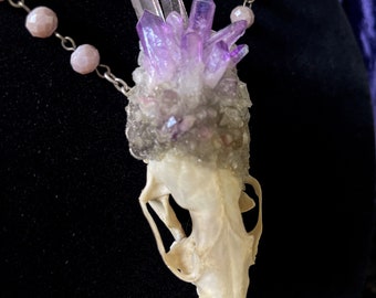 Bone Jewelry * Bone Necklace * Crystallized Skull * Taxidermy Jewelry * Skull Pendant * Animal Skull * Animal Bones * Mink Skull *