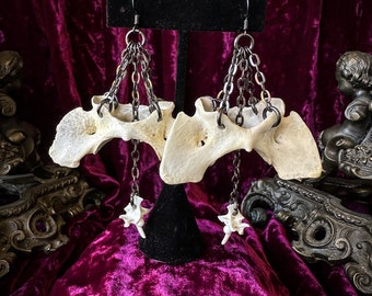 Coyote Atlas Chain Earrings * Chandelier Earrings * Bone Earrings * Oddities * Taxidermy Jewelry * Bone Jewelry * Coyote Earrings * Viking