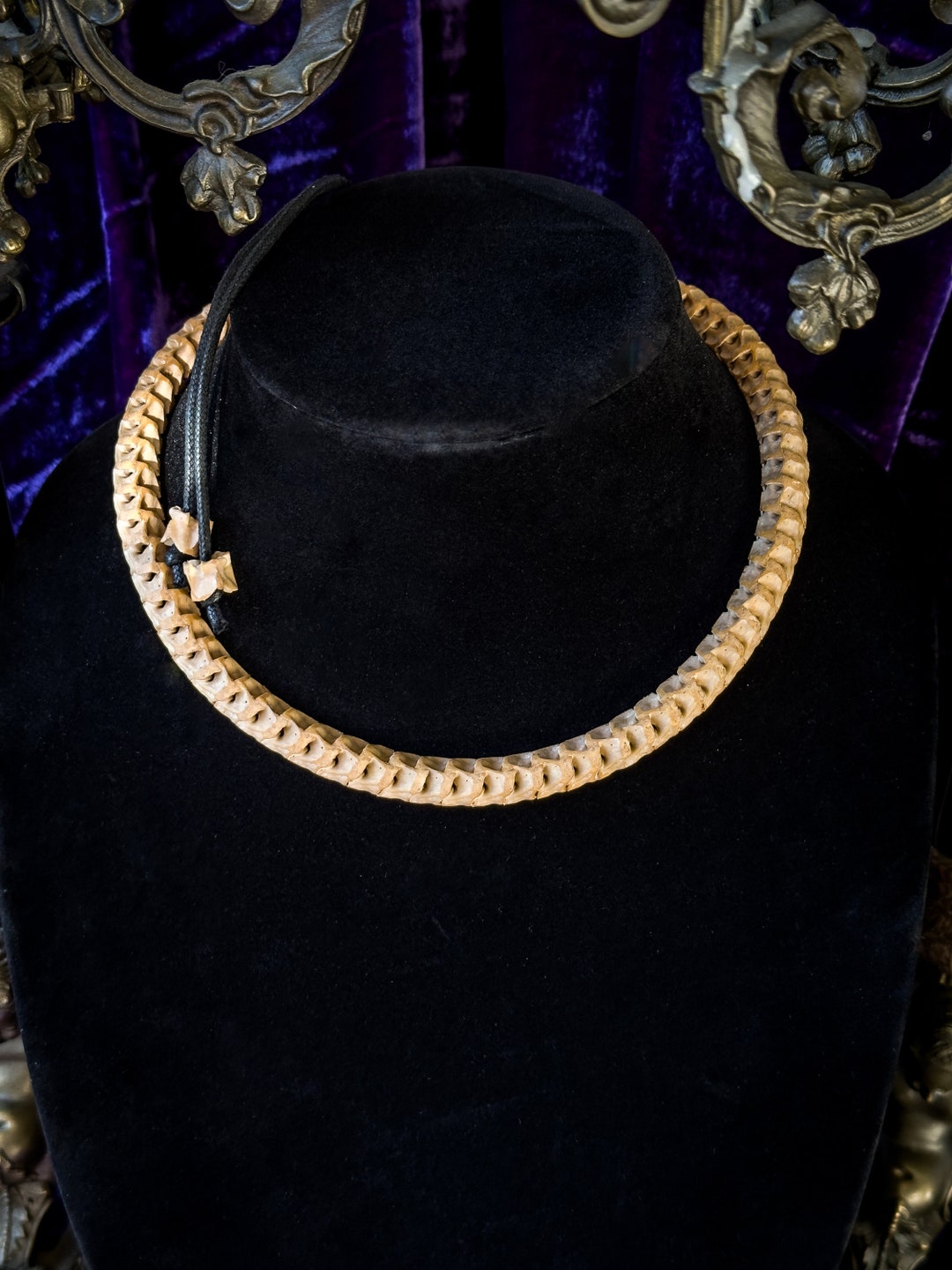 Snake Vertebrae Necklace Taxidermy Jewelry Bone Jewelry Etsy