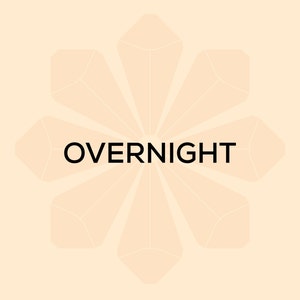 May include: A beige background with a stylized flower design in the center. The flower has six points and is outlined in a light brown color. The word "OVERNIGHT" is written in black text in the center of the flower.