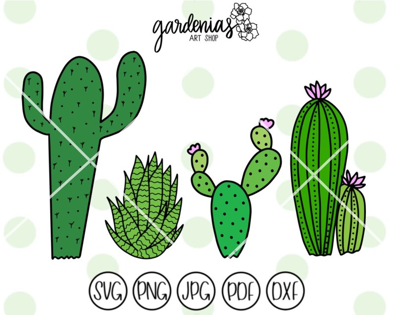 Download Cactus Bundle svg Succulent Clip Art Succulents svg Cacti | Etsy