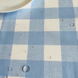 Puede incluir: Un plato ovalado blanco descansa sobre un mantel a cuadros azules y blancos. Gotas de agua están dispersas sobre la tela, lo que sugiere un material impermeable o resistente al agua. El mantel presenta un patrón de cuadros clásico.