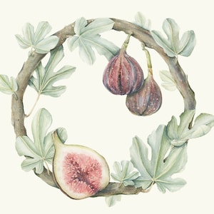 Fig Wreath Print image 1