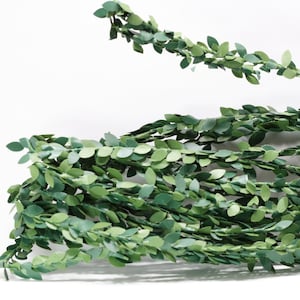 Miniature Baby Leaf Boxwood Garland