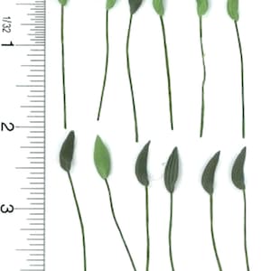 Dollhouse Miniature Set of 12 Artisan Green Leaves on Wire Stems