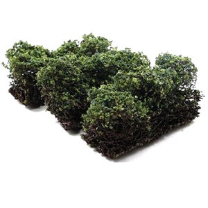 Dollhouse Miniature Low Green Bushes Set of 3 by Creative Accents