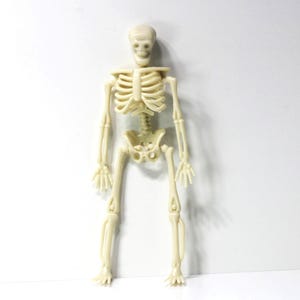 Dollhouse Miniature Spooky Halloween Semi-Jointed Skeleton