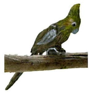 Dollhouse Miniature Gray Cockatiel Bird by Falcon Miniatures