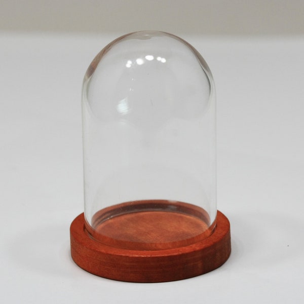 Dollhouse Miniature - Glass Dome with Dark Wood Base