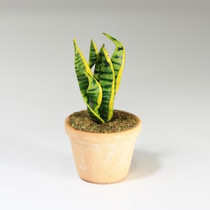 Dollhouse Miniature Snake or Mother in Laws Plant in a Clay Pot