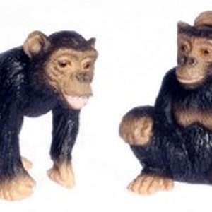 Dollhouse Miniature Set of 2 Chimpanzee  Monkeys  by Falcon Miniatures
