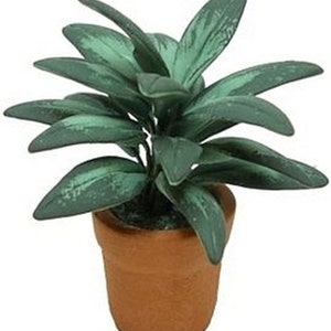 Dollhouse Miniature Artisan Green Houseplant in a Clay Pot