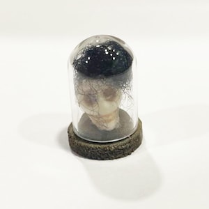 Dollhouse Miniature Spooky Halloween Skull Under Glass for Halloween