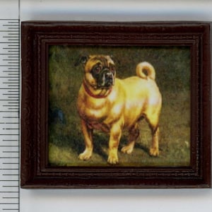 Dollhouse Miniature Darling Pug in a Dark Frame