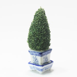 May include: A miniature topiary tree in a square, white ceramic pot with blue floral designs. The tree is a vibrant green, cone-shaped, and sits atop a matching saucer. The pot has a blue rim and is decorated with blue floral patterns.