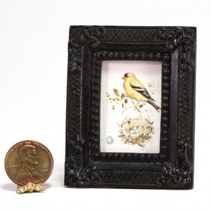 Dollhouse Miniature Dark framed picture of a colorful bird and her nest
