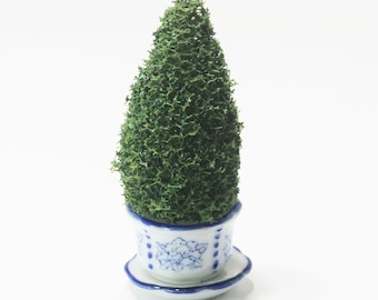 Dollhouse Miniature Artisan Topiary in a Blue and White Porcelain Pot with Saucer