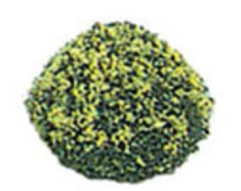 Miniature Yellow Blossom Landscaping Bushes