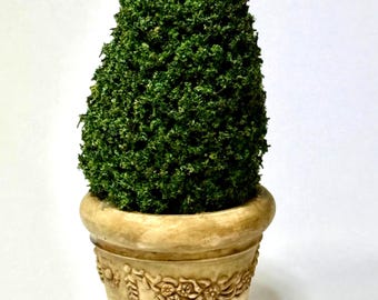 Miniature Topiary in an Ornate Planter