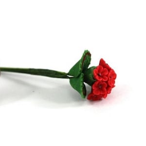 May include: A miniature red flower with green leaves and a green stem. The flower is in full bloom, with multiple small petals. The leaves are a vibrant green with red accents. The stem is long and slender.