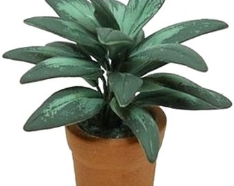 Dollhouse Miniature Artisan Green Houseplant in a Clay Pot