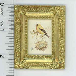 Dollhouse Miniature Gold Framed Picture of Colorful Bird with Nest