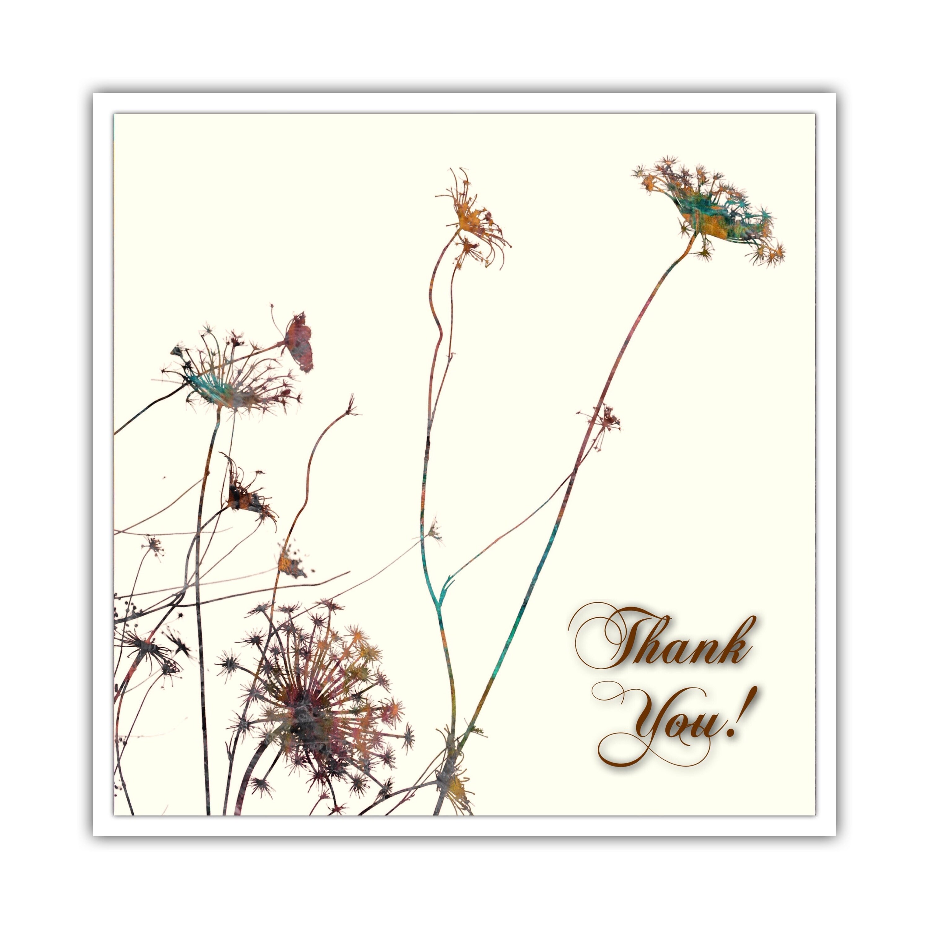 THANK YOU CARD Nature Greeting Card Nature Lovers card Etsy