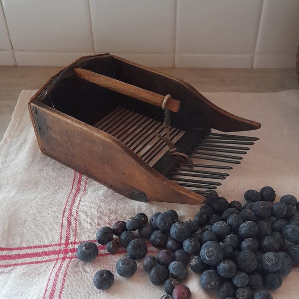 Vintage French rustic wood and metal blueberry comb, peigne à myrtilles, berry picker, rake, tool, harvesting berries