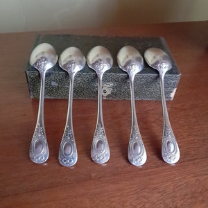 5 hübsche Kaffeelöffel - vintage französische Ercuis Tee-/Kaffeelöffel, Metall argenté, gestempelt, Box