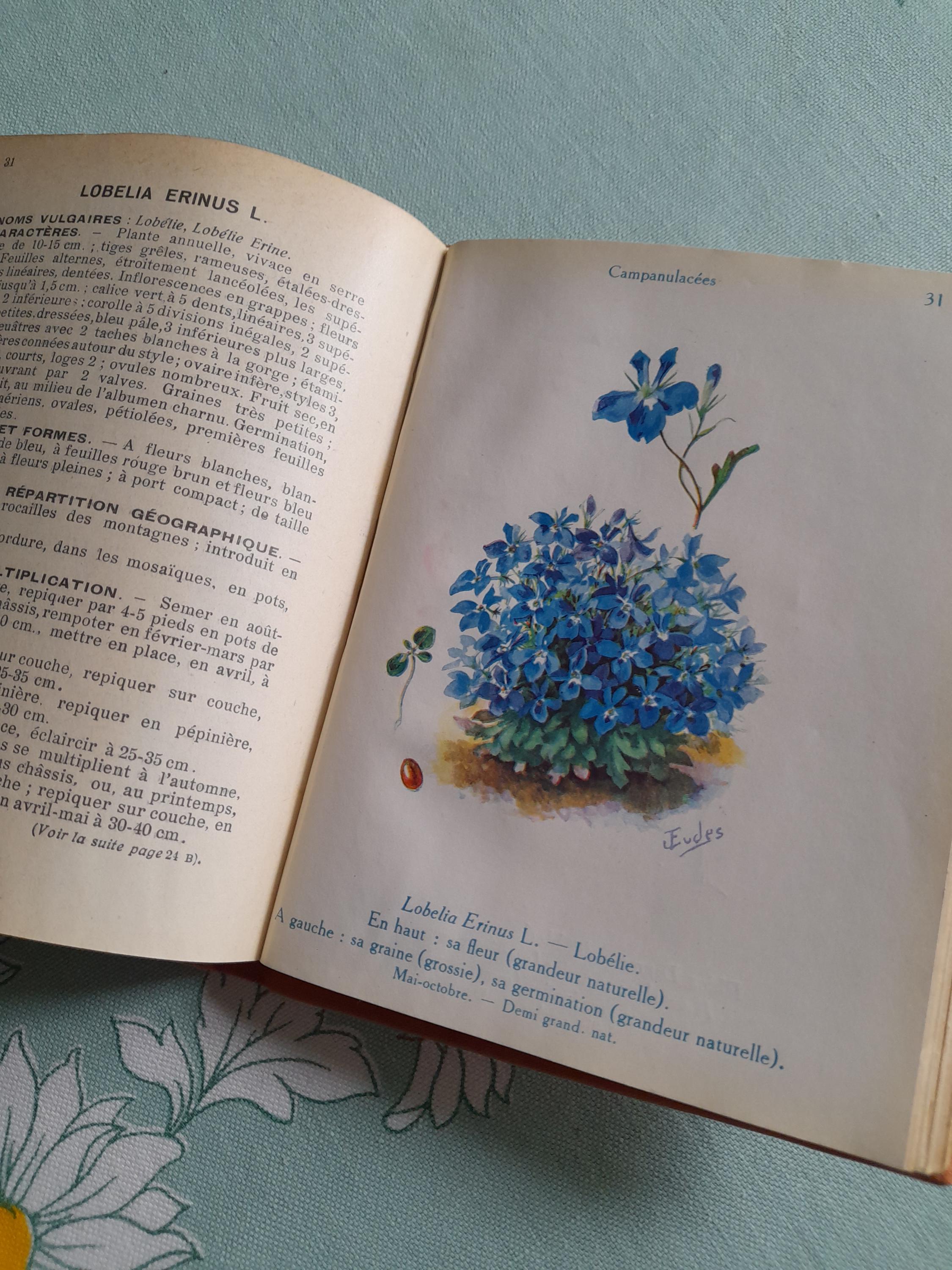 Les Fleurs De Jardins, Book by A. Guillaumin, Vol 2, Summer