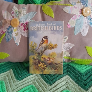 Un troisième livre sur les oiseaux britanniques et leurs nids, livre pour enfants vintage, ornithologie, coccinelle, relié, anglais, illustrations couleur