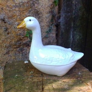 美しいガチョウのテリーヌ - フランスのヴィンテージ、ミシェル