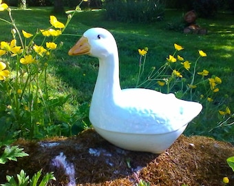 Beautiful goose Terrine - French vintage Michel Caugant hand painted terrine