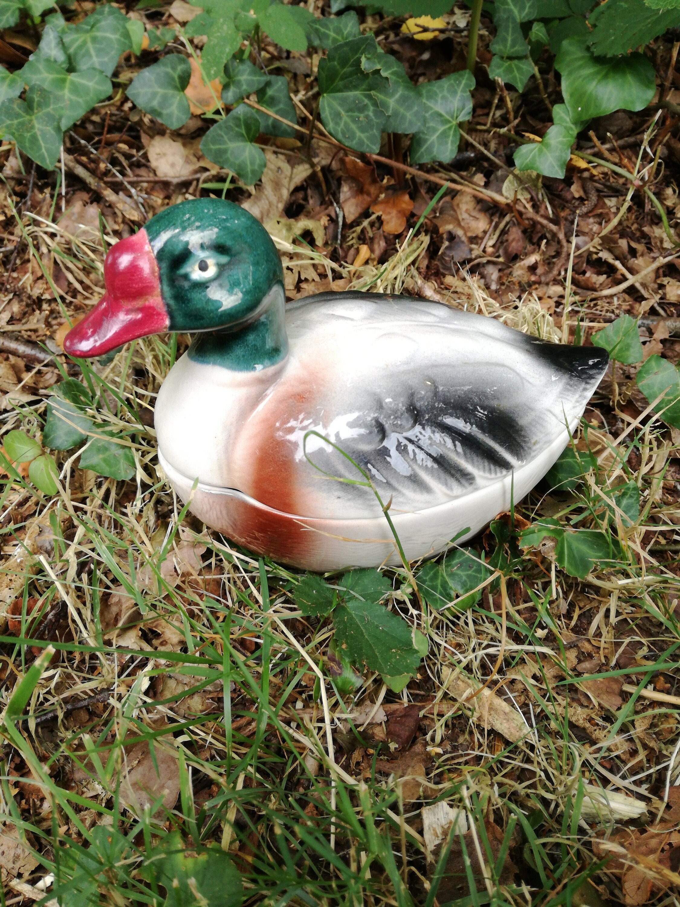 Jolie Petite Terrine de Canard - Français Émaillée Vintage Michel Caugant Peinte à La Main Bec Rouge