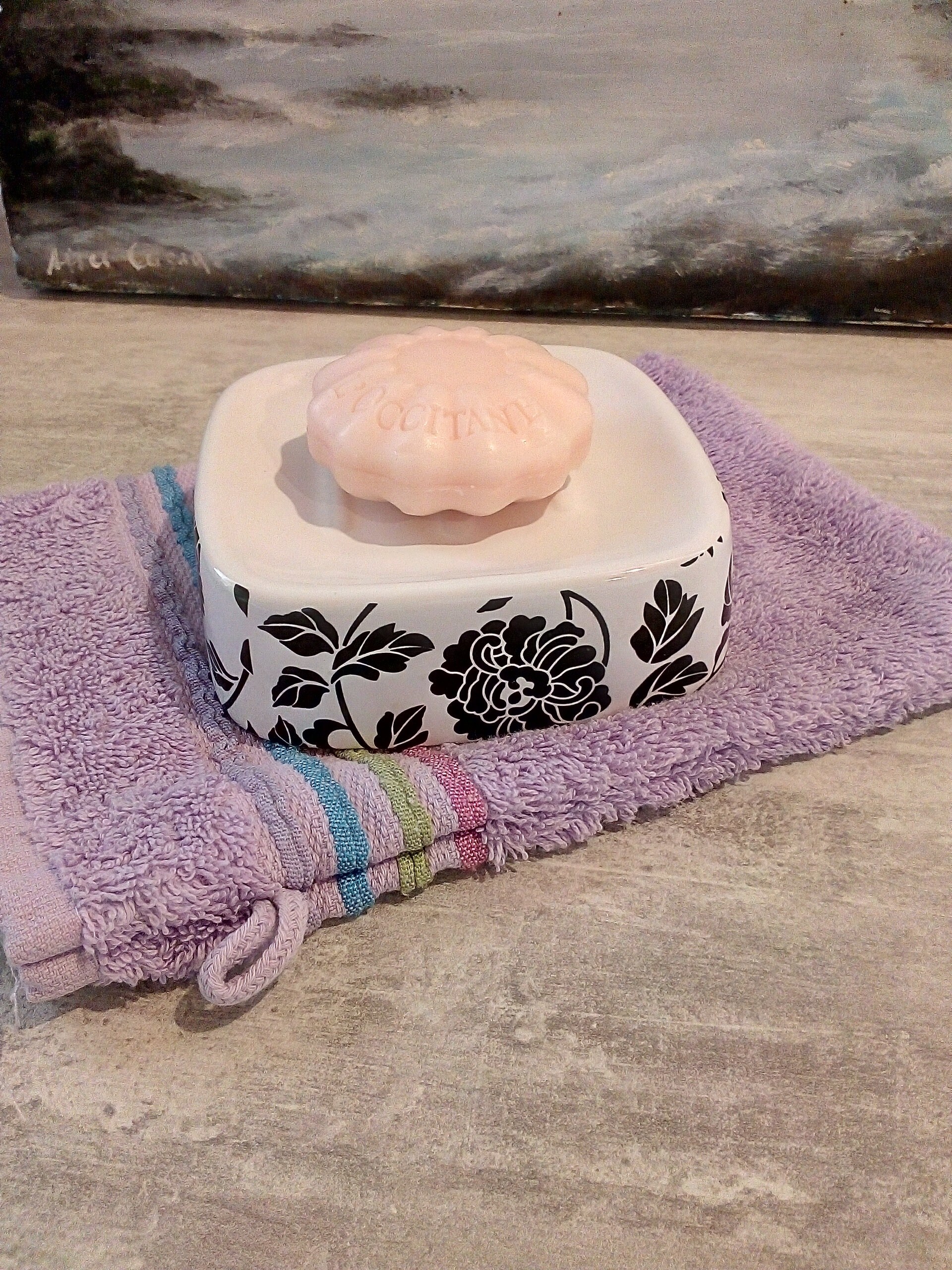 Joli Plat de Savon - Français en Céramique Roses Blanc et Noir