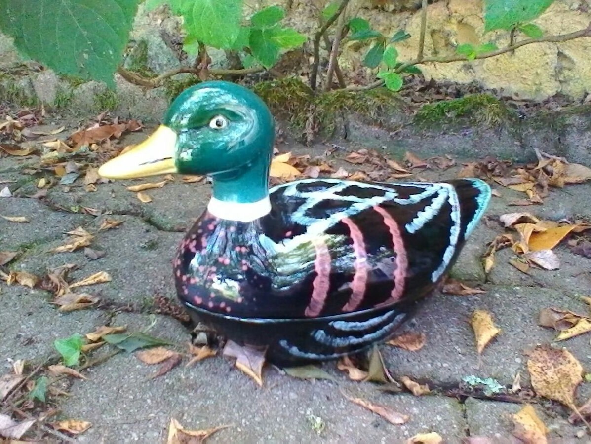 Terrine de Canard - Terrine Glacée Michel Caugant Vintage Français