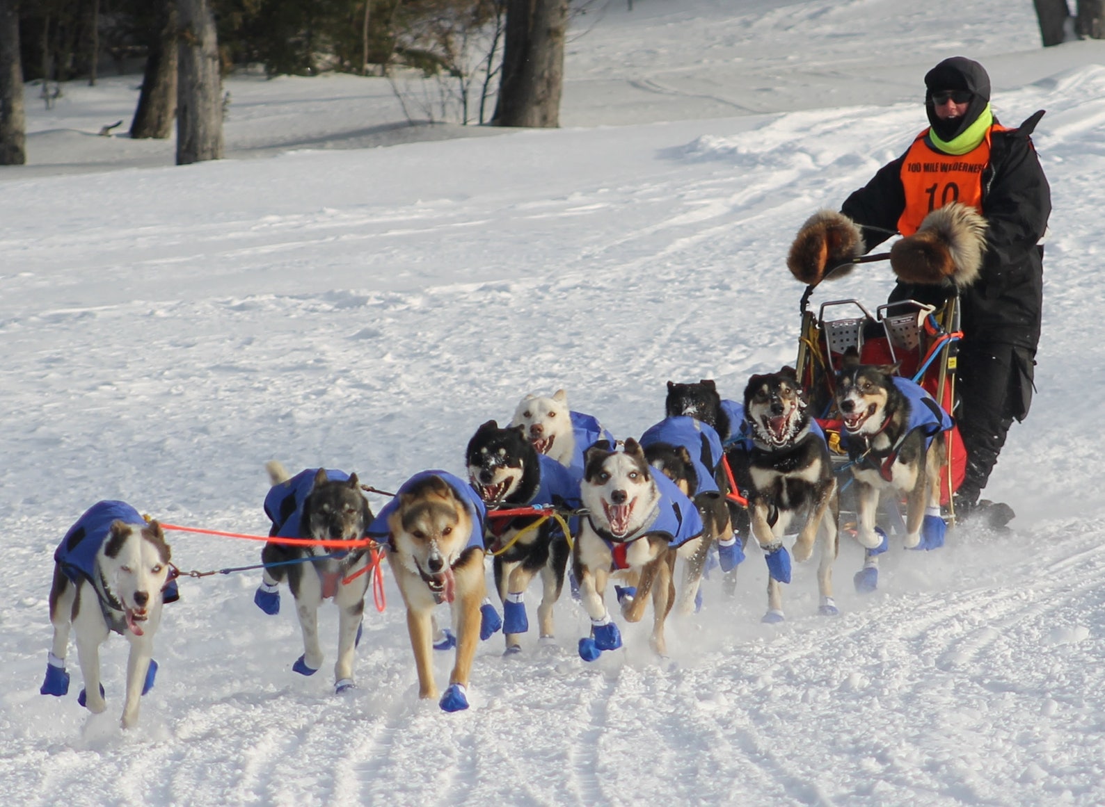 Finish Top Dog Booties set of 4 Sled Dog Snow Boots Iditarod Etsy UK