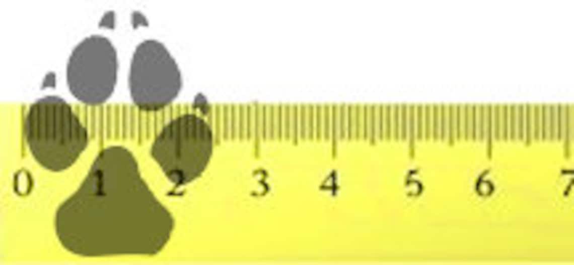 Finish Top Dog Booties set of 4 Sled Dog Snow Boots Iditarod Etsy