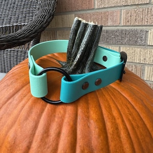 Custom O-Ring Biothane Collar