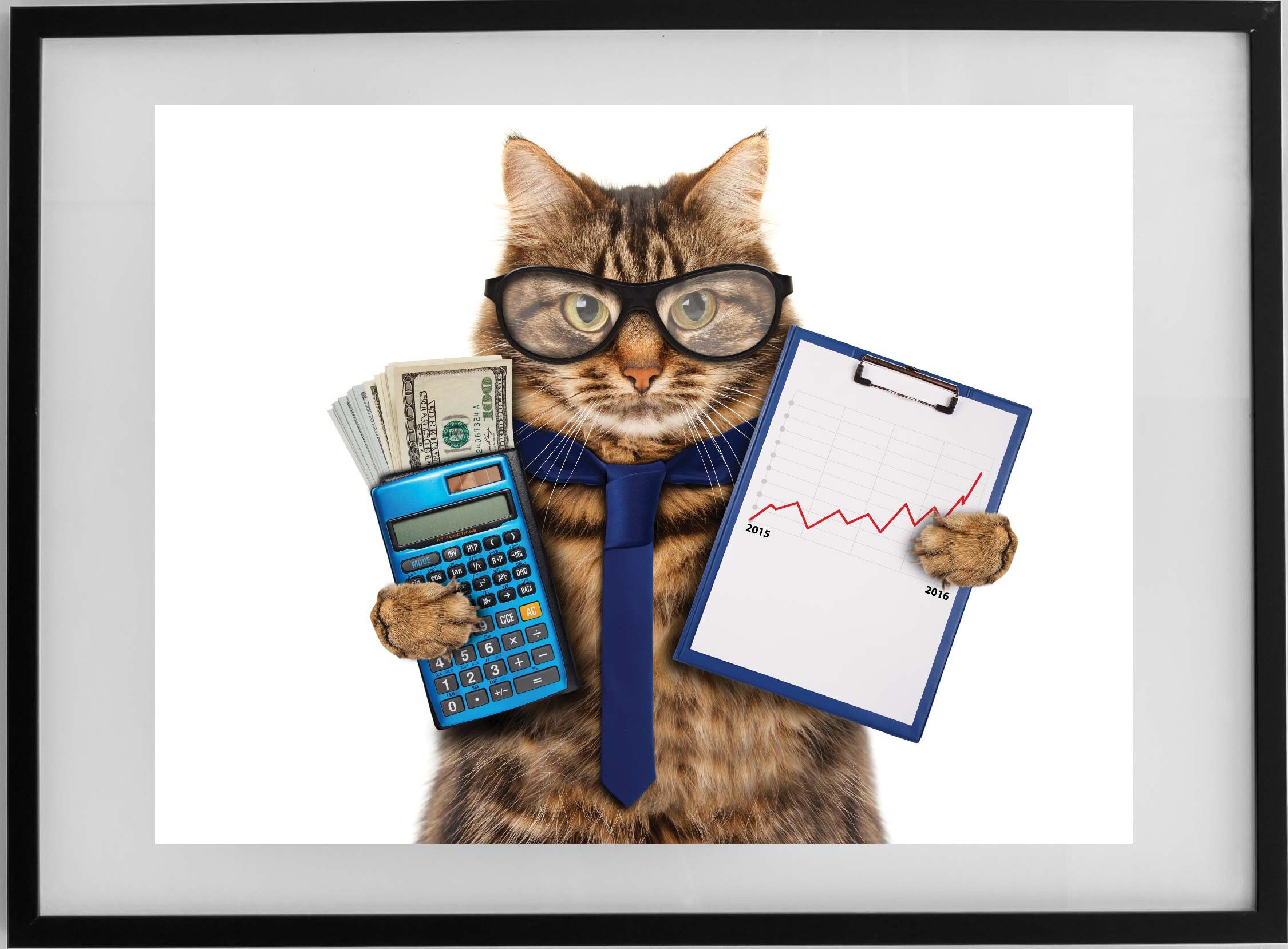 Ginger accountant cat with cash and calculator digital print Etsy