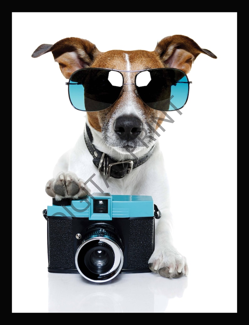 Lustige Hund mit Brille und Foto Digitaldruck lustige Tiere Etsy